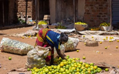 Nigerian Cash Crisis: Benue State Residents Resort to Barter Trade