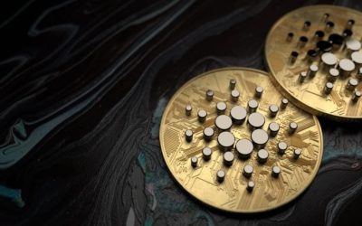 Biggest Movers: Cardano Moves to 6-Week High, Climbing by Over 6% on Friday