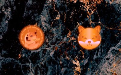 Biggest Movers: DOGE, SHIB Slip Following ECB Rate Hike