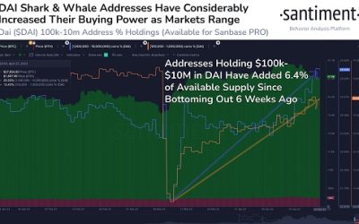 DAI whales have added 6.4% of stablecoin’s supply since mid-March