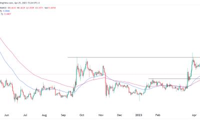 As XRP price moves into a bear market, is it safe to buy the dip?
