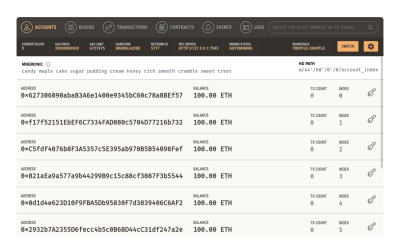 How to use Ganache for blockchain project development