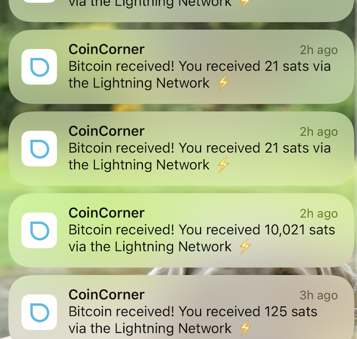 Brian Armstrong promised me $100 in Bitcoin — so where is it?