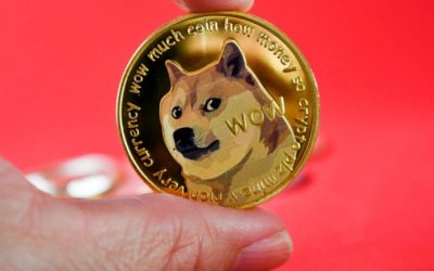 Biggest Movers: DOGE, SHIB Drop to Multi-Week Lows, Following Crypto Red Wave