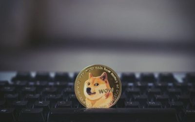 Biggest Movers: DOGE Extends Declines on Thursday, Falling by Nearly 9%