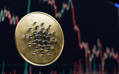 Biggest Movers: ADA Snaps Losing Streak as BCH Moves to 10-Day High