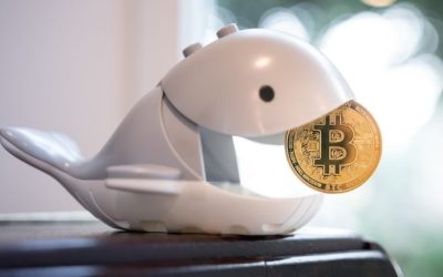 Bitcoin Whale Transfers $13 Million Worth of Dormant Coins Dating Back to 2012 and 2013