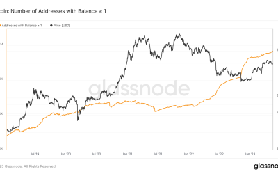 Hyperbitcoinization coming, says Bitcoin OG as ‘wholecoiners’ hit 1 million