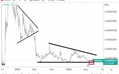 Shiba Inu erases 2023 gains, reaches major support area