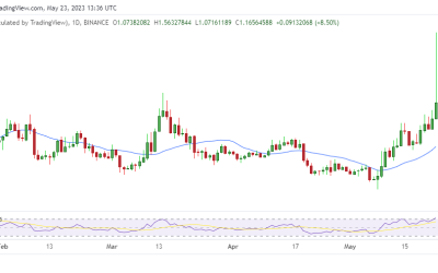 KAVA in danger of erasing gains after 40% spike – here’s what happened?