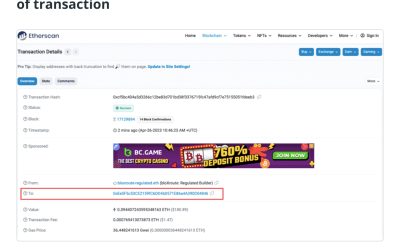 How to check an Ethereum transaction