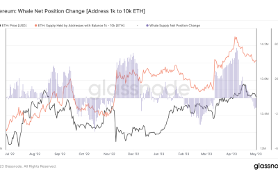 Ether whale population drops after Shapella — Will ETH price sink too?