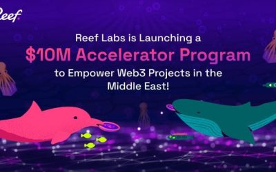 Reef Labs Is Launching a $10M Accelerator Program to Empower Web3 Projects in the Middle East