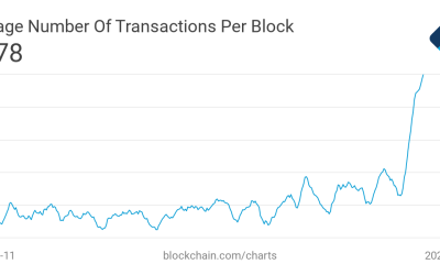 Bitcoin ‘under siege’ by BRC-20 coins as fees soar, claims analyst