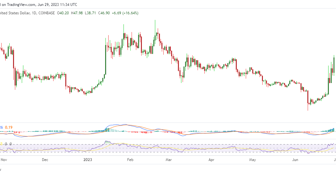 Whale activity pushes COMP token price up by 50%