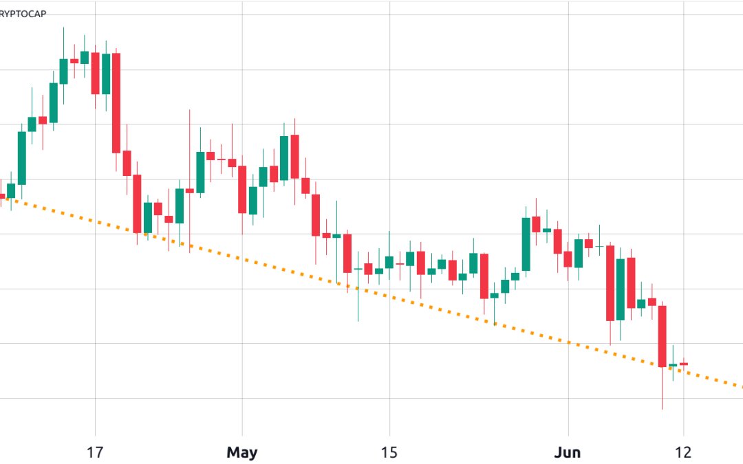 Bitcoin and select altcoins show resilience even as the crypto market sell-off continues
