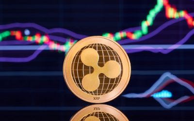 XRP price recoils despite the Roblox news as whale transactions rise