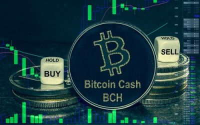 Pro delivers a $2 trillion BCH, Solana, Litecoin, Mina, Bitcoin price prediction