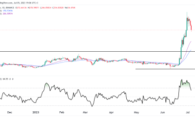 Bitcoin Cash price moved to a bear market: Buy the dip?