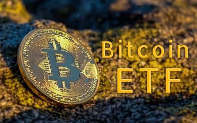 Spot Bitcoin ETF a “done deal,” but how does this boost optimism for Shiba Memu?