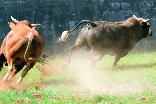 here’s why bulls have $1 in sight