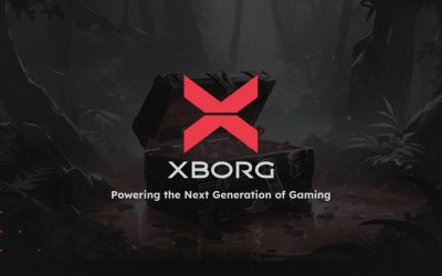 Powering the Next Generation of Gaming: XBorg Sells Out $2 Million Seed Round Community Allocation