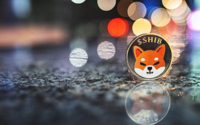 SHIB burn rate soars, PEPE market cap nears $500M, as Memeinator token presale thrives