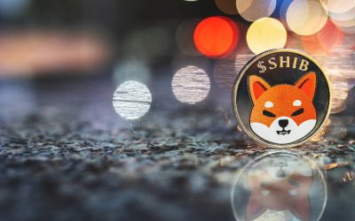 Shiba Inu up by 5% this week as Memeinator’s presale approaches $1.5 million