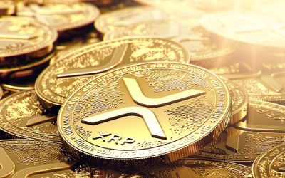 SEC used XRP reports in lawsuit against us