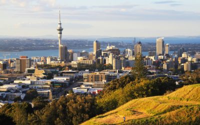 New Zealand crypto exchange Dasset faces liquidation, customer funds trapped