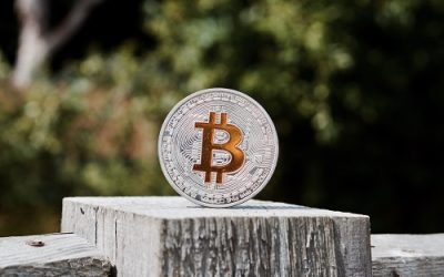 Bitcoin price bounce sees profit taking hit 2-month high