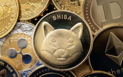 3 Key Reasons Investors are Flocking to This Meme Coin Presale Alongside Shiba Inu