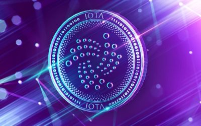 IOTA targets $0.3 after bullish DLT news as investors diversify with Everlodge (ELDG)