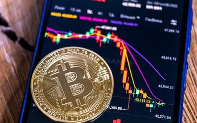 Institutions Highlight Two Key Factors for Bitcoin (BTC) 2024 Price Surge and BorroeFinance Success in Presale