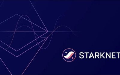 Starknet allocates 10% of network fees to developers