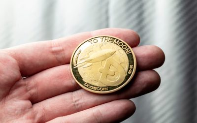 Massive Dogecoin Trade Ahead of Moon Mission; InQubeta Presale Exceeding Forecasts with Over $8M Raised