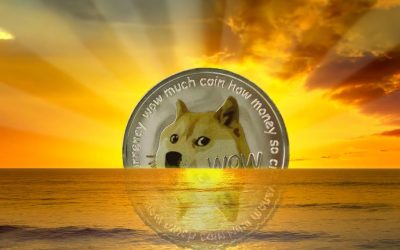 Meme Token Market Rally — Dogecoin, Shiba Inu, and Bonk Record Double-Digit 24-Hour Gains