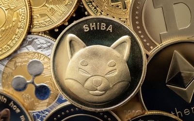 SHIB token burn fails to inspire major price move; is GFOX stealing SHIB’s thunder?