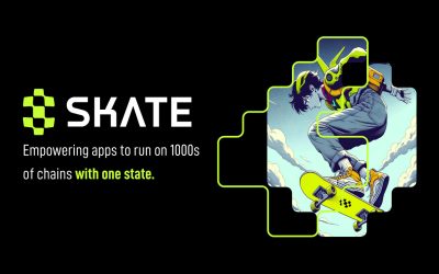Unified liquidity platform Range Protocol unveils Skate: The first universal application layer powering apps to run on all chains with one state