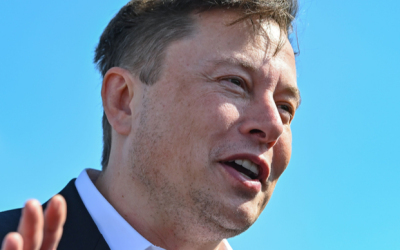 Trump confirms Musk and Ramaswamy will lead ‘DOGE’ agency to drive out wasteful spending