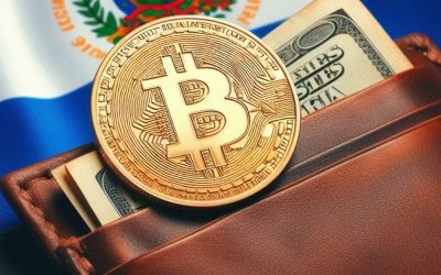 Wasabi Wallet Lead Developer: ‘Bitcoin Developers Are Failing El Salvador’