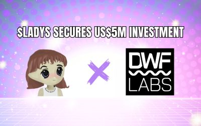 Milady Meme Coin Secures US$5 Million Investment from DWF Labs