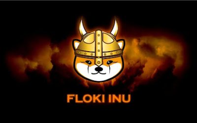 FLOKI explodes to new all-time high; Is new memecoin KangaMoon next?