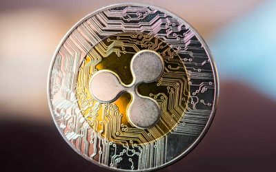 Ripple CEO Hails Latest Court Ruling ‘a Big Win’ — Calls His Lawsuit Baseless Troll Attempt