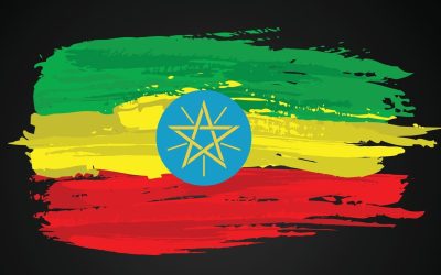 Ethiopia Announces Launch of Forex Auction Sale Days After Birr Float