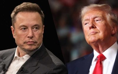 Elon Musk Offers to Assist Donald Trump Boost Government Efficiency