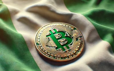 Nigerian Files Lawsuit to Overturn Crypto Ban, Seeks BTC Commodity Status