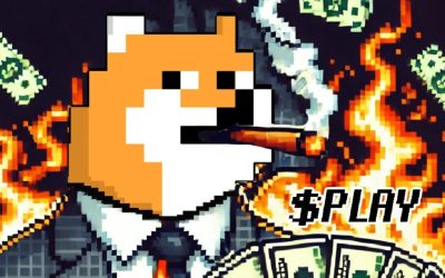 Nostalgic P2E Meme Coin PlayDoge Trends in $6M Presale – How High Can PLAY Go?