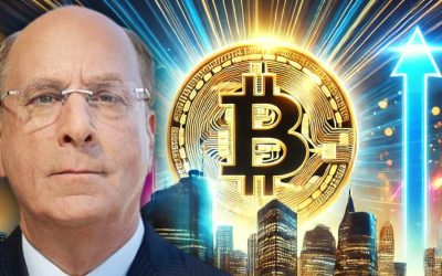 Blackrock CEO Larry Fink Declares Bitcoin an Asset Class, Rivaling Gold in Investment Potential