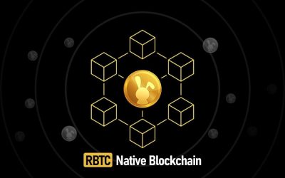 RabbitCoin Brings Next-Level Play-to-Earn With Latest Blockchain Network